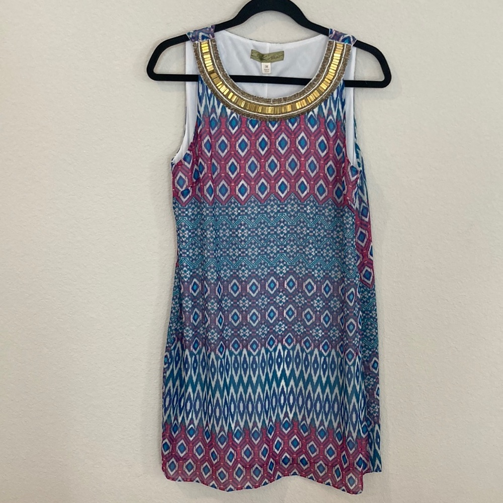 New Francesca’s Dress